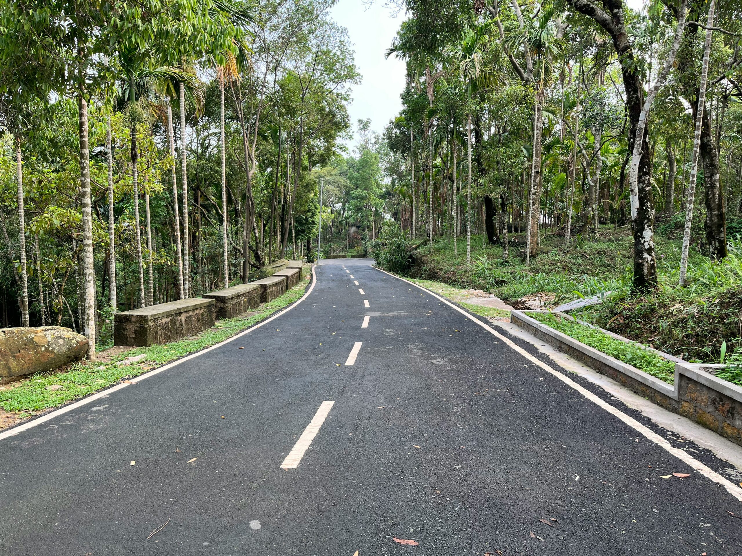 Mawlynnong village