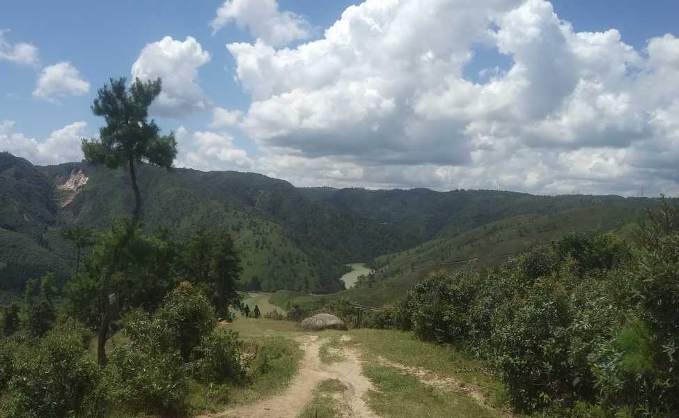 Bulls Trek