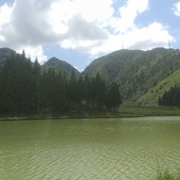Waniangleng Bulls Trek